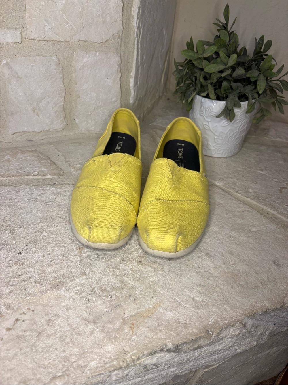 Toms Yellow Canvas Slip-On Shoes sz 10.5